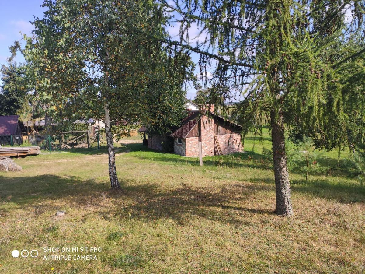 Dzika Zagroda Dziemiany Zewnętrze zdjęcie